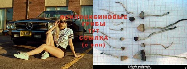 амфетамин Михайлов