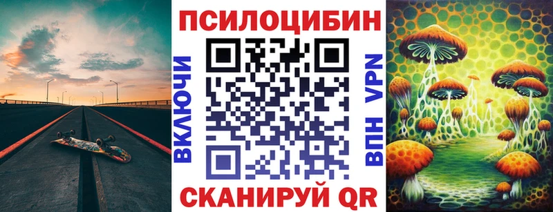 продажа наркотиков OMG сайт Псилоцибиновые грибы мицелий Тайга
